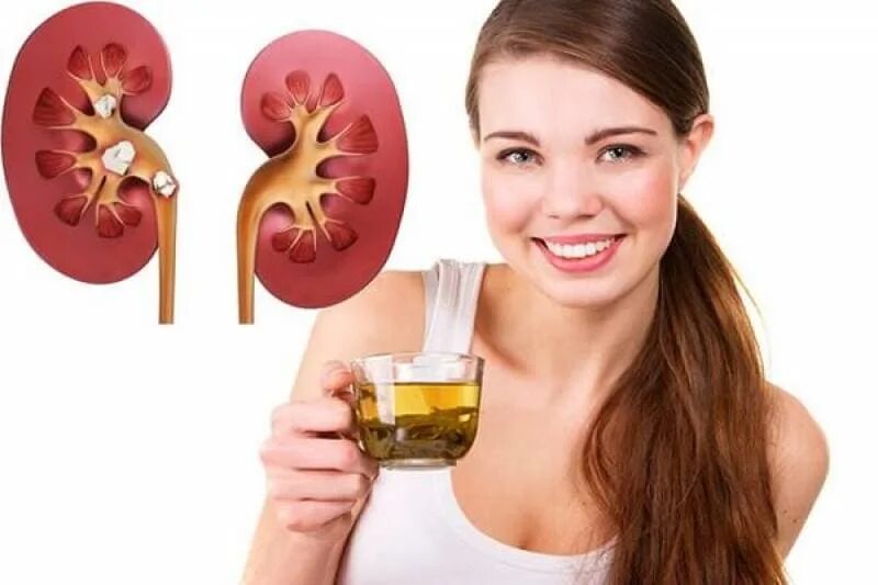 Народные средства для почек. Отвар овса. Народное лечение почек у женщин. Толокнянка от цистита. Лечить почки в домашних условиях.