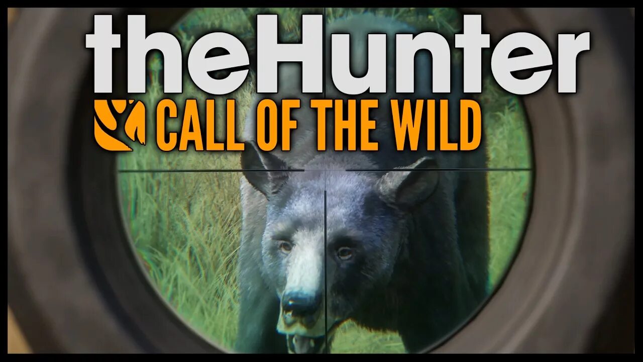 Wild kill. The Hunter: Call of the Wild Black Bear. Great one Black Bear THEHUNTER. THEHUNTER: Call of the Wild Gameplay. The Call of the Wild the untamed Bear.