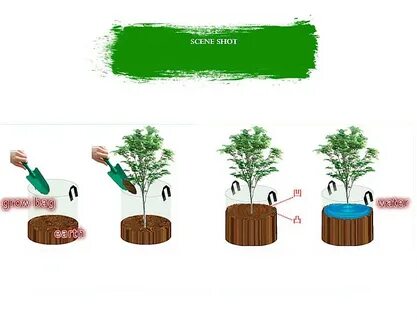 Grow feel