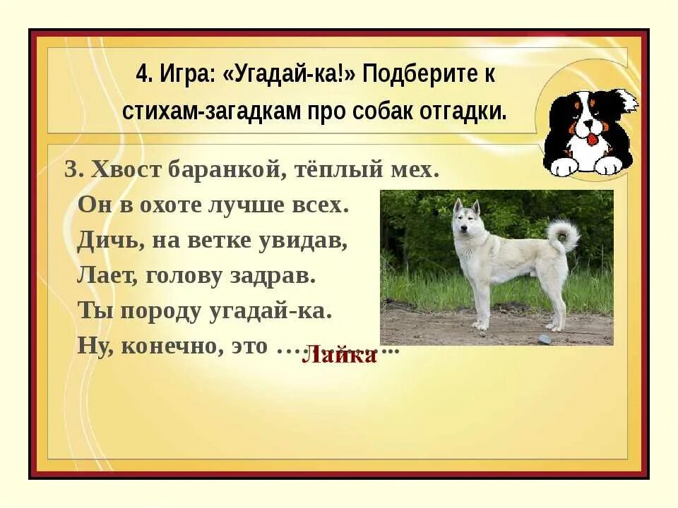 Прочитайте слова dog. Загадка про собаку. Загадка про собаку для детей. Загадки про породы собак. Загадки про собакак.