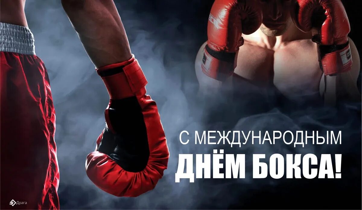 22 июля дата. Международный день бокса. международный день бокса 22 июля. бокс жени. с днем бокса поздравления.