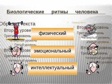 Презентация биологические ритмы в жизни человека