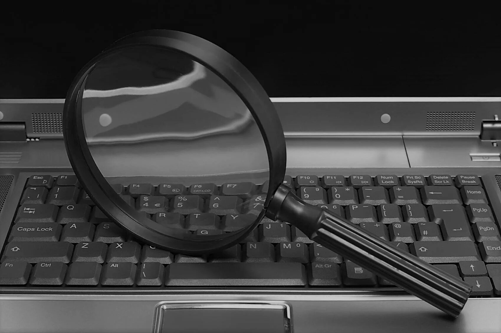 Поиск любой информации