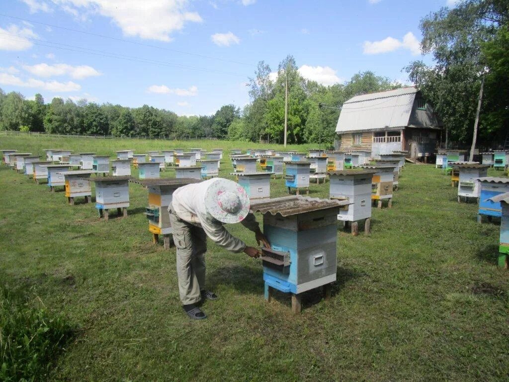 выходцы деревня