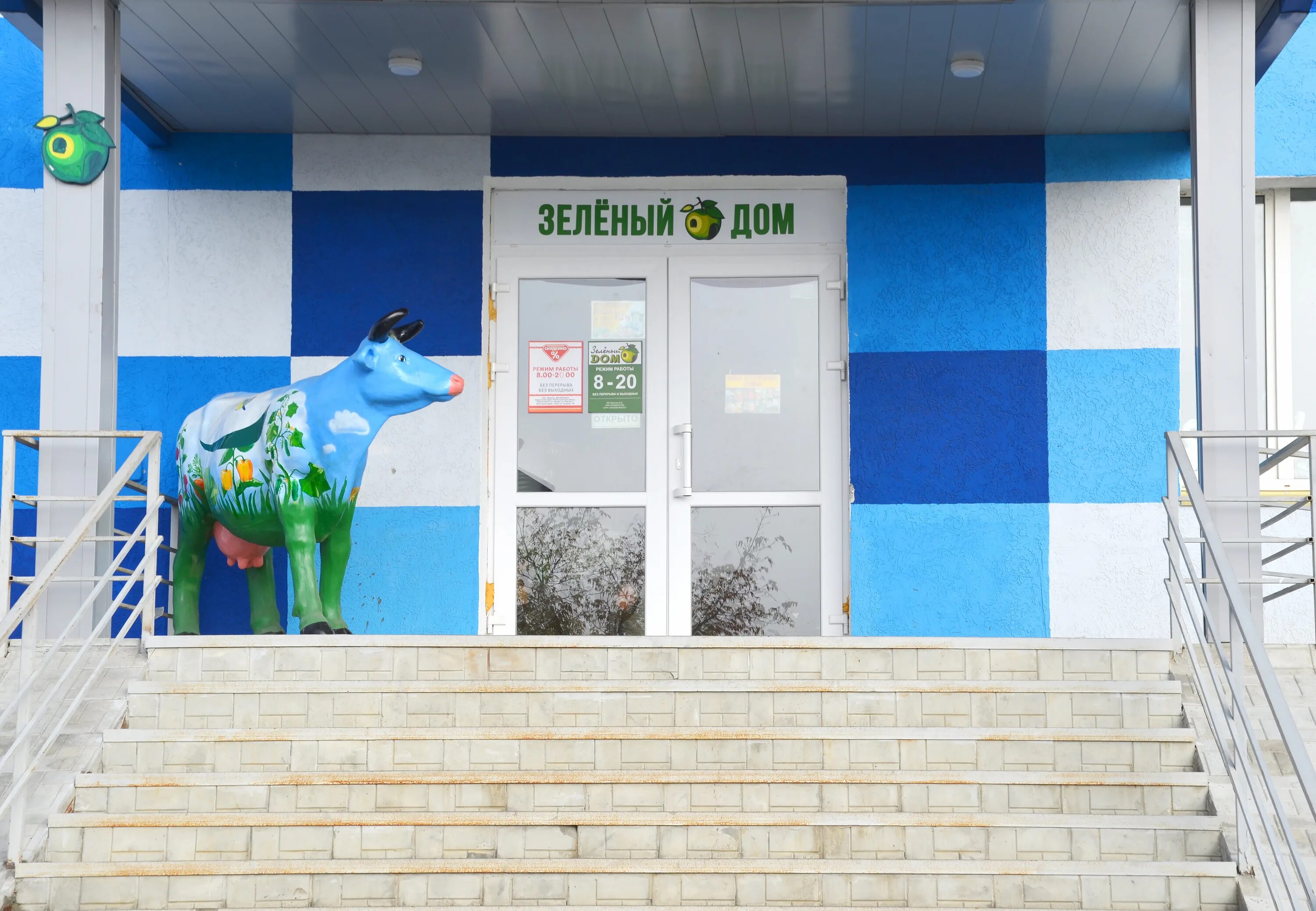 Магазин комнатных цветов. Суворова 133 пенза. Зоомама добрые руки зеленодольск. Дом и сад магазин. Садоводческий магазин.