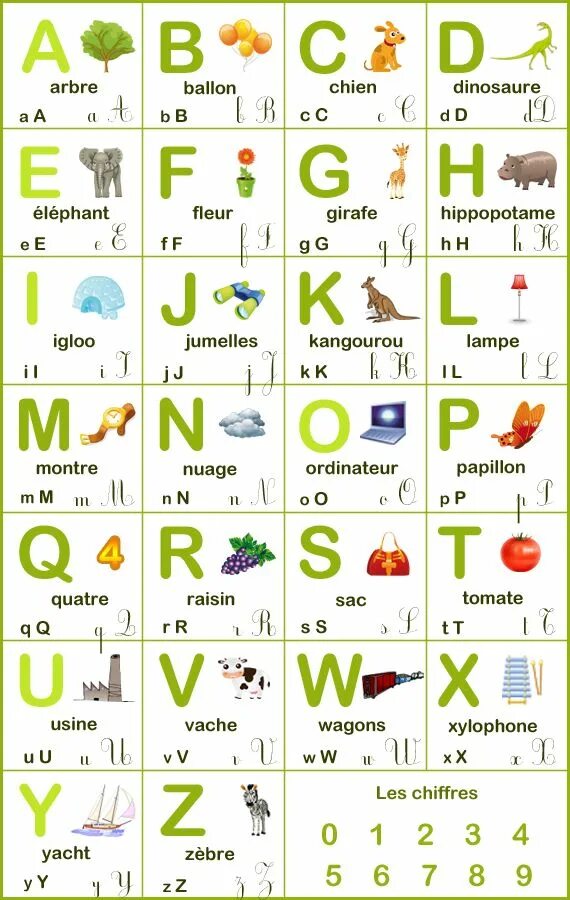 L alphabet