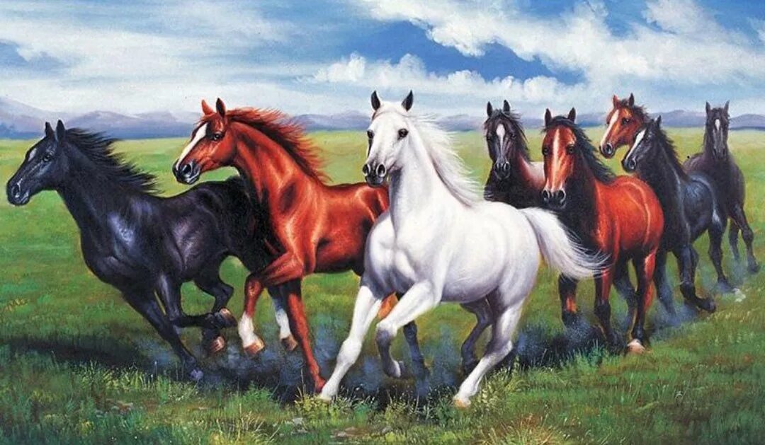 Камарг франция. 9 лошадей. Табун лошадей. Табун лошадей. Табун диких лошадей.