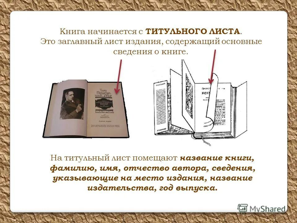 В книге n страниц. Как правильно называются части книги. Как называется первая страница книги. Элементы книги в картинках. Титульные элементы книги.