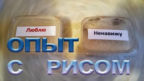 Опыт с рисом