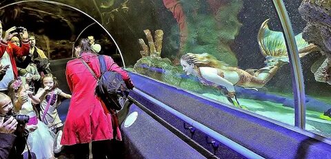 Deep sea world