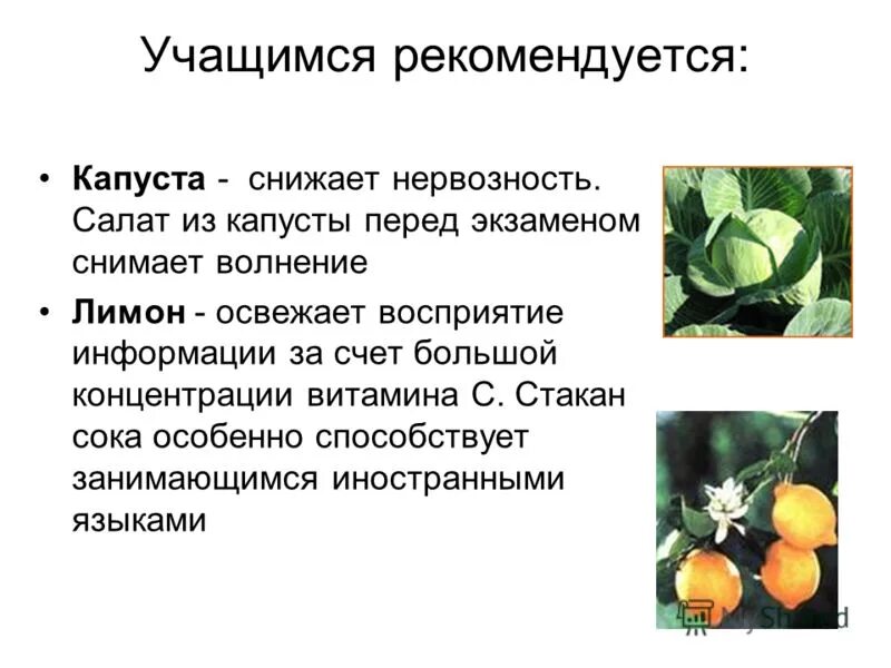 капуста пекинская паспорт растения. меню при гипертонической болезни. пекинская капуста калорийность. что делать при повышении давления. капуста снижает давление.