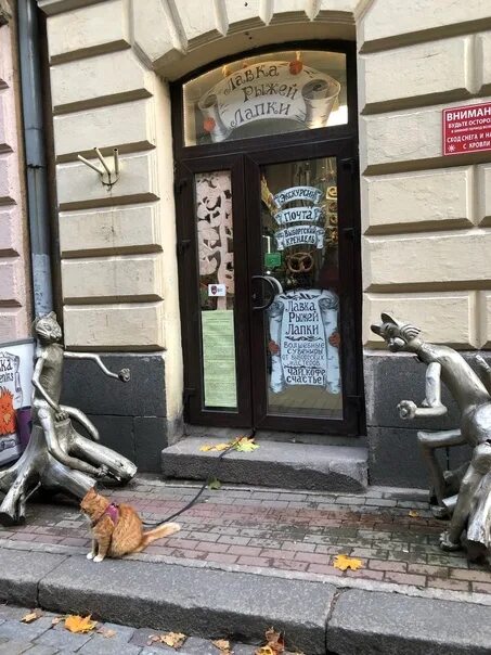 Кафе рыжий кот. Лавка рыжей лапки в выборге. лавка рыжей лапки в выборге кот. рыжая лапка выборг. кафе выборг рыжая лапка.