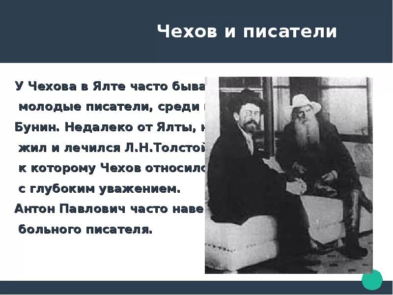 Жизнь чехова в ялте. Чехов в ялте. цитата про чехова в ялте. чехов в ялте кратко.
