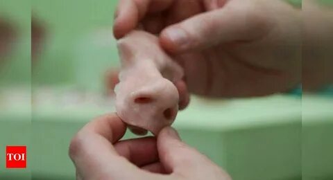 Искусственный нос метод