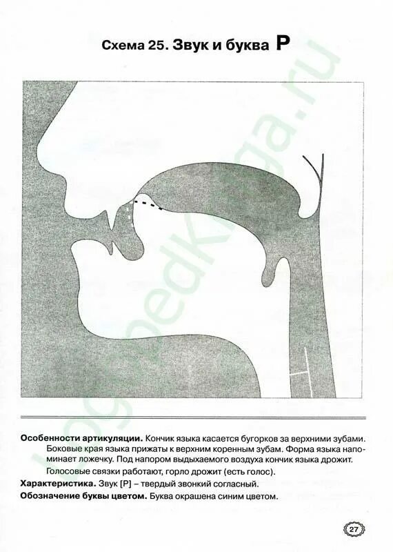 Профили артикуляции звуков. Схема артикуляции звука р для дошкольников. Артикуляция звуков в графическом изображении р. Профили артикуляции звуков в графическом изображении. Схема артикуляции звука ш.