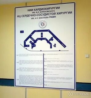 Фгбу нмиц ссх им а н бакулева