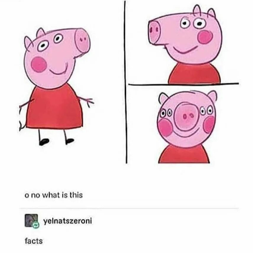 Смешные мемы про свинку Пеппу. Свинка Пеппа Мем. Приколы со свинкой ПП Й. Мемы со свинкой Пеппой.