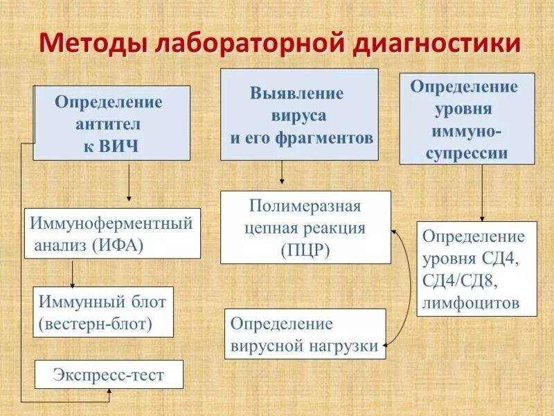Для диагностики вич используют методы. Метод диагностики вич. алгоритм диагностики вич. методы лабораторной диагностики вич. метод лабораторной диагностики вич инфекции.