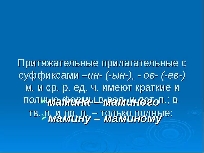 Прилагательное мамин является притяжательным