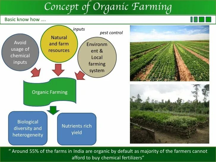 Modern farming methods allow. Organic farming methods. organic farming conventional. organic farming текст. органическое сельское хозяйство презентация.