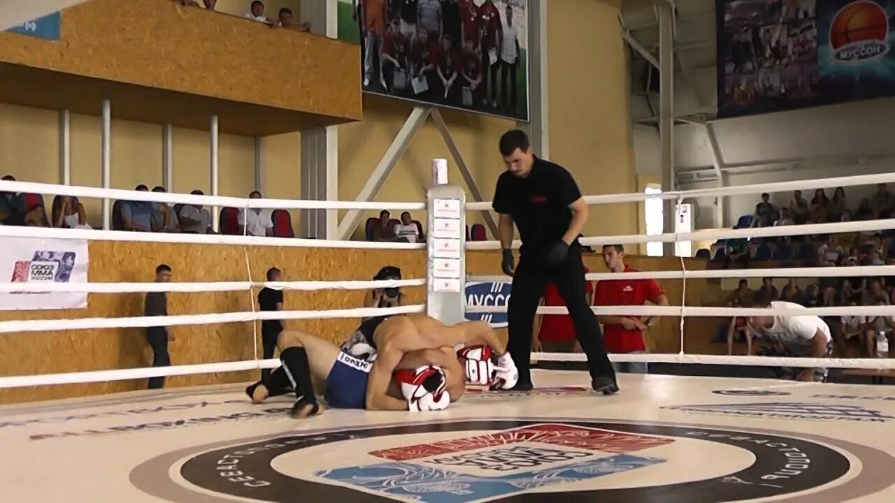 Аралов мма севастополь. Президент федерации смешанных единоборств севастополя. Александр спивак мма севастополь. Мма севастополь. Мма севастополь.