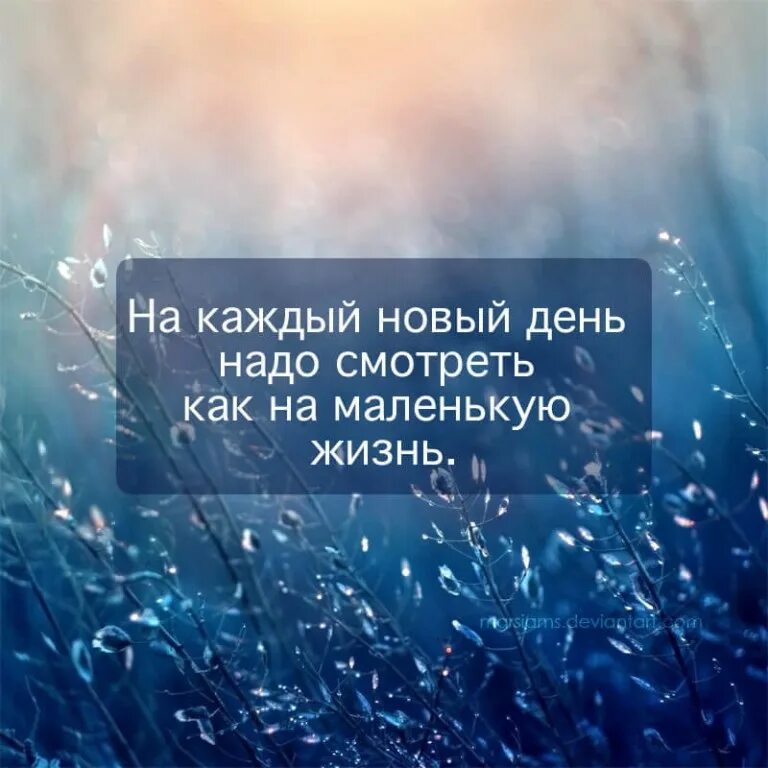 О жизни и новом дне. Каждый новый день цитаты. Новый день цитаты. Позитивные Вдохновляющие фразы. Цитата дня.