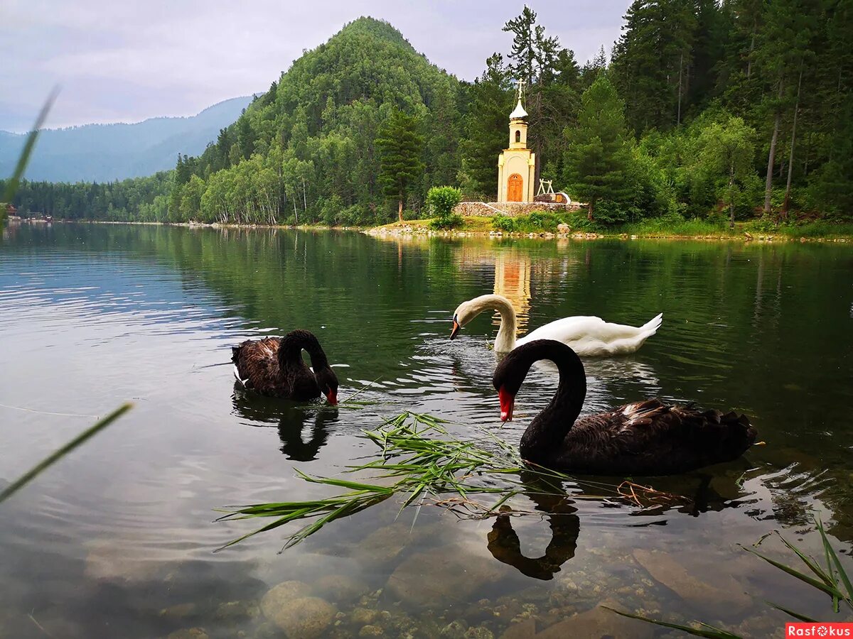 снежная иркутск теплые озера. экопарк озера на снежной. теплые озера бурятия. теплые озера изумрудное озеро. эко парк байкал теплые озера.