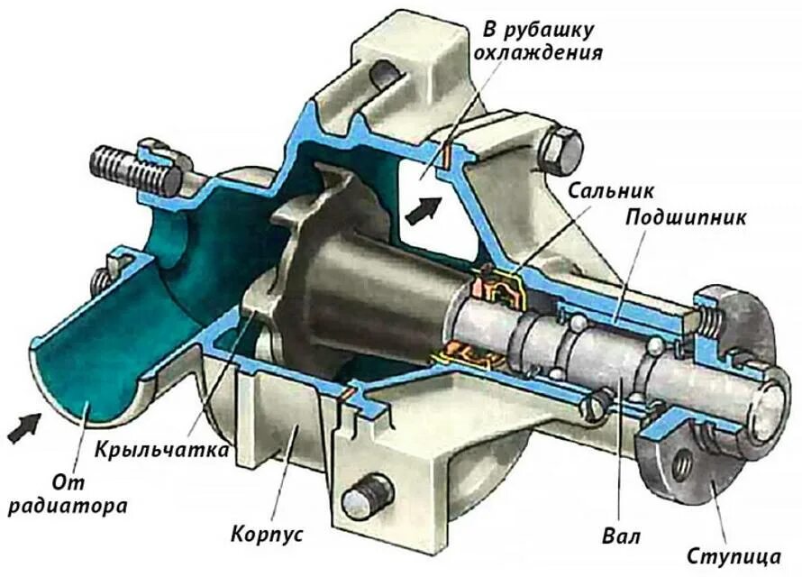 Принцип водяного насоса. Помпа 2107 в разрезе. Водяная помпа ВАЗ 2107 устройство. Насос охлаждающей жидкости ВАЗ 2107. Устройство водяного насоса двигателя.