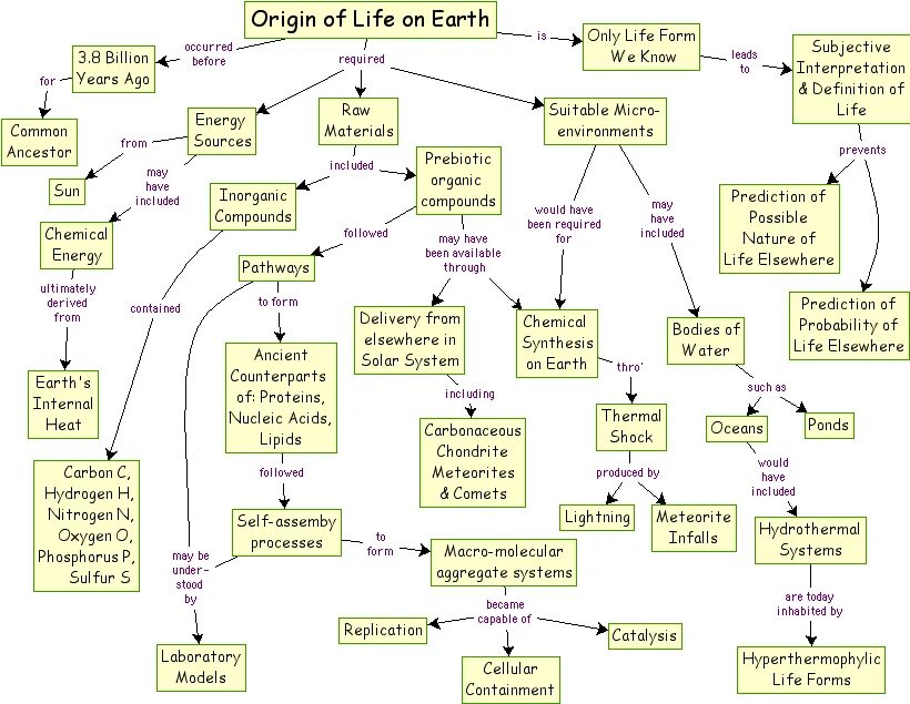 Forms for life. Life. origin of life. interesting diagrams.