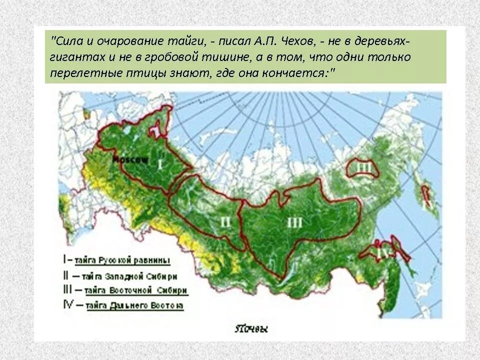 Зона тайги на карте России. Где находится зона тайги в России на карте. Таежная зона России на карте. Территория тайги на карте России.