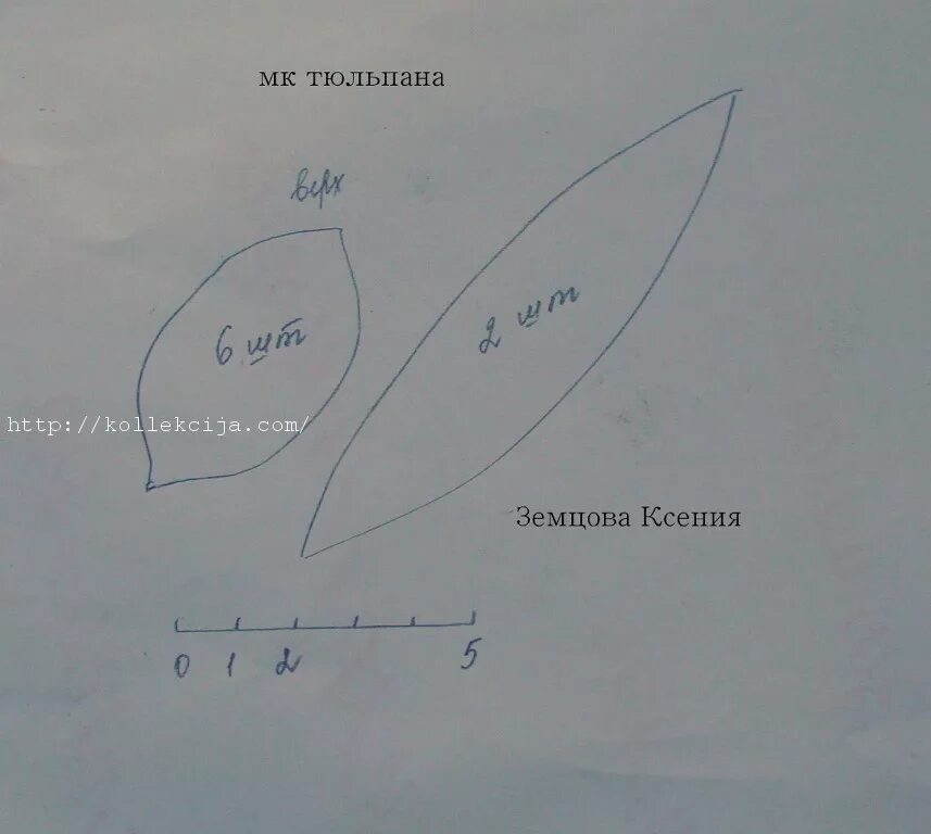 Форма листьев тюльпана. Трафарет лепестков тюльпана. шаблоны лепестков и листьев тюльпана. размеры листьев тюльпана.