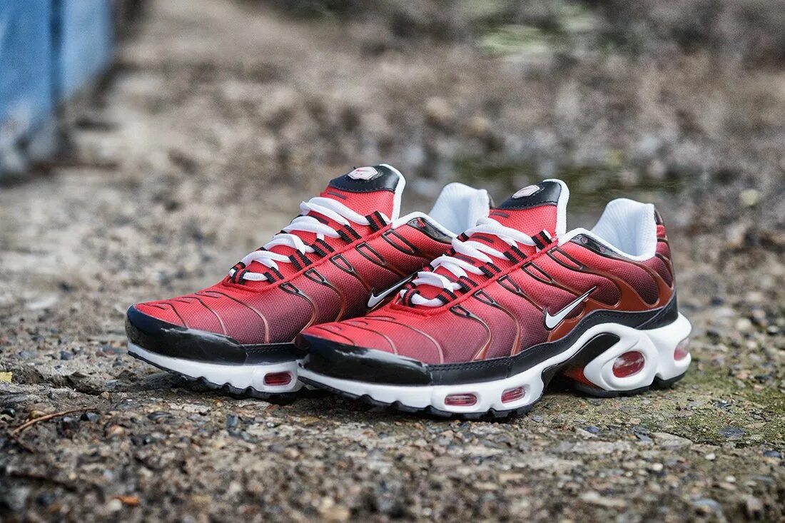 Найк тн макс. Nike Air Max TN Plus. Nike Air Max TN Plus Red. Nike Air Max Plus 3. Nike Air Max TN Plus 3 Black Red.