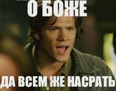 Ответы на все случаи жизни