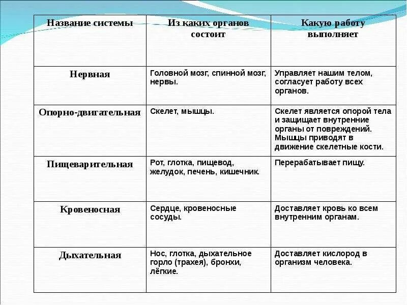 Таблица название систем органов органы функции. Окружающий мир 3 класс организм человека таблица система органов. система органов 3 класс окружающий мир таблица. . органы и системы органов в организме человека. таблица. организм человека 3 класс окружающий мир таблица.