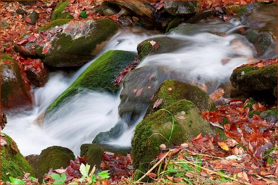 Звук шума ручья. Шум ручья. Изображение клокочущий ручей. Шумят ручьи картинки. Зашумели воды быстрого ручья картинки.