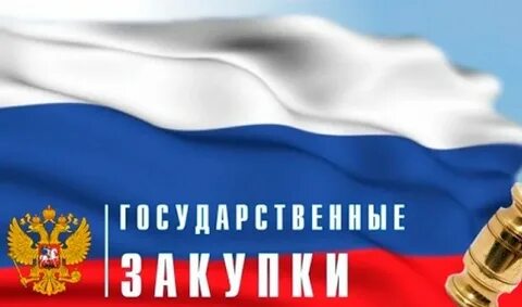 Практика государственных закупок