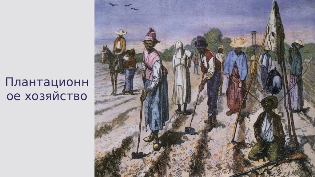 Плантационное хозяйство на юге сша 19 век. Страны плантационного хозяйства. Плантационное рабство это. Плантационное хозяйство это. Страны зависимого плантационного хозяйства.