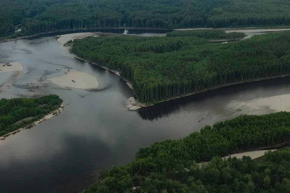 Амурская область. Природа Селемджинского района Амурской области. Коболдо Амурская область. Река Юхта Амурская область золотодобыча.