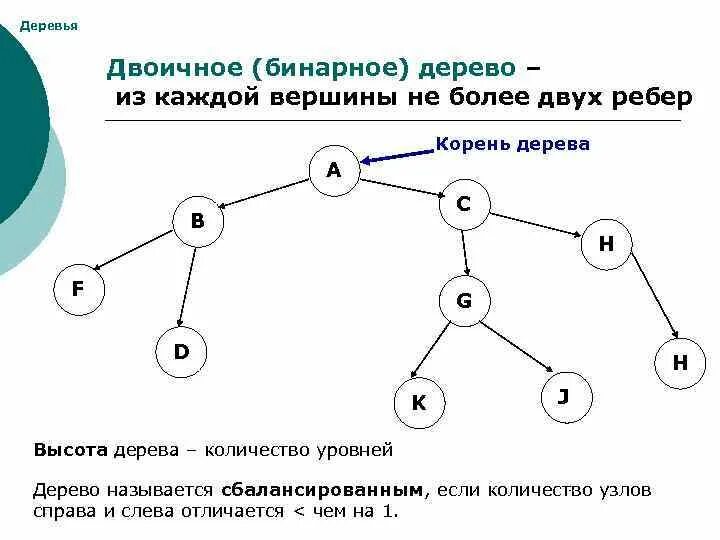 В дереве 4 вершины сколько. Средняя высота бинарного дерева. Бинарное дерево структура данных. Вершины бинарного дерева. Двоичное дерево структура данных.
