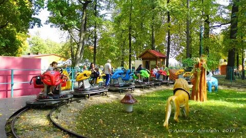 Режим работы парка белинского пенза