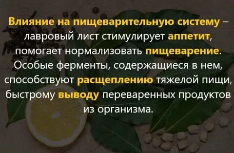 Чем полезен лавровый отвар для организма