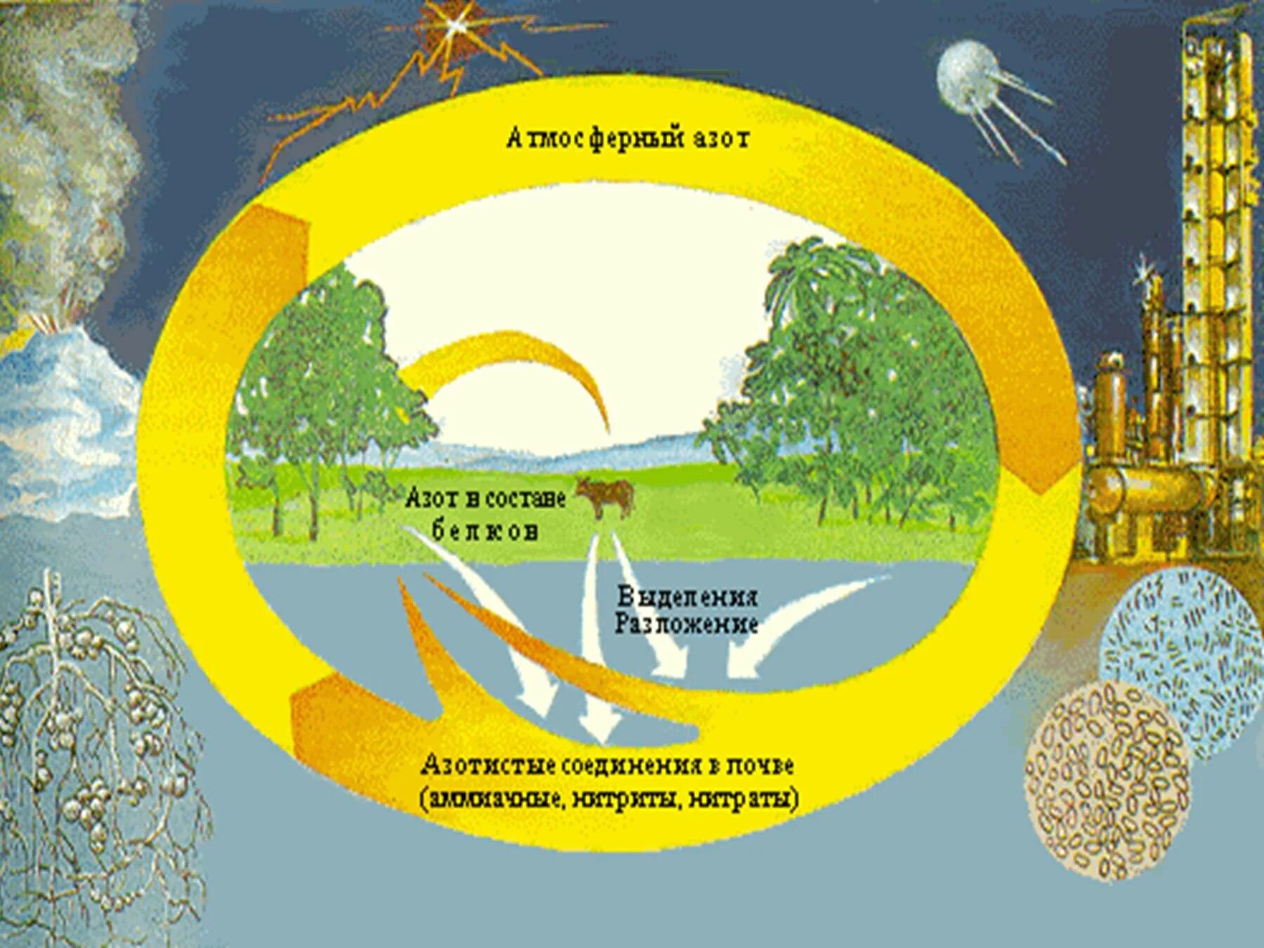 Биогеохимические циклы круговорот азота в природе. Биогеохимический цикл азота схема. Биогеохимический круговорот азота. Биогеохимический круговорот азота схема.