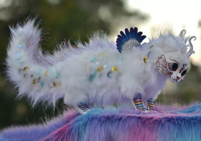Fluffy dragon Разноцветные животные, Животные, Странные животные