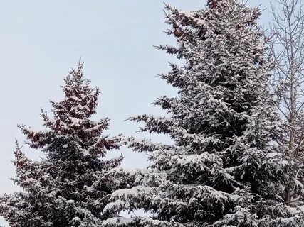 Погода в бурятии в ноябре