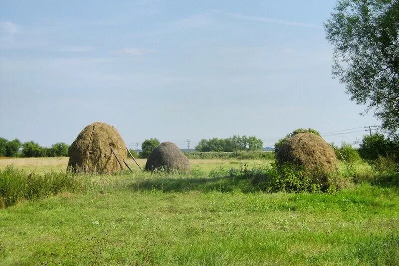 Погода в калаисе