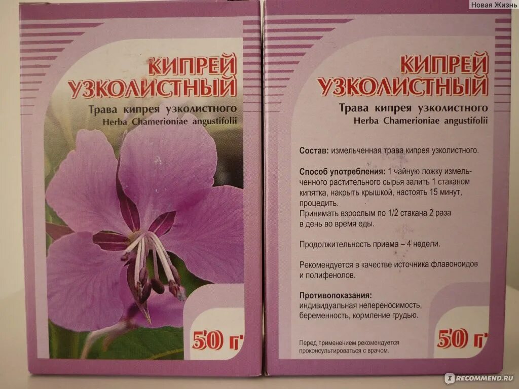 Кипрей трава инструкция. Кипрей трава инструкция. Кипрей трава инструкция. Кипрей трава инструкция. Кипрей трава инструкция.