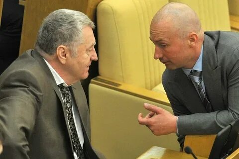 Где сын жириновского