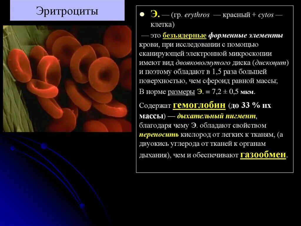 Безъядерные форменные элементы крови. Эритроциты безъядерные клетки. Безъядерные форменные элементы клетки содержащие гемоглобин. Безъядерные форменные элементы крови содержащие гемоглобин.