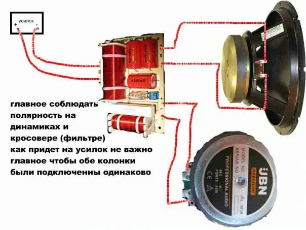 Полярность колонок. Полярность динамика. Полярность автомобильных динамиков. Определить полярность динамика.