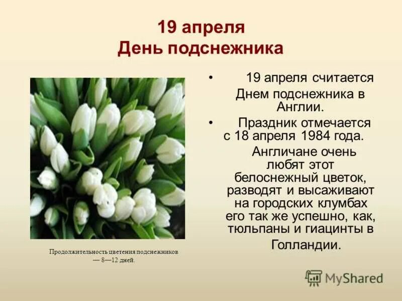 Март 17 12